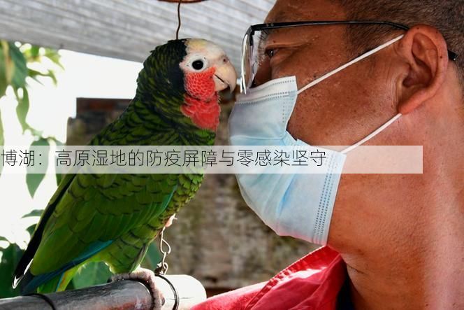 博湖：高原湿地的防疫屏障与零感染坚守
