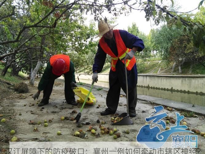 汉江屏障下的防疫破口：襄州一例如何牵动市辖区神经？