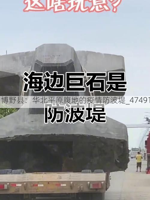 博野县:华北平原腹地的疫情防波堤_47491