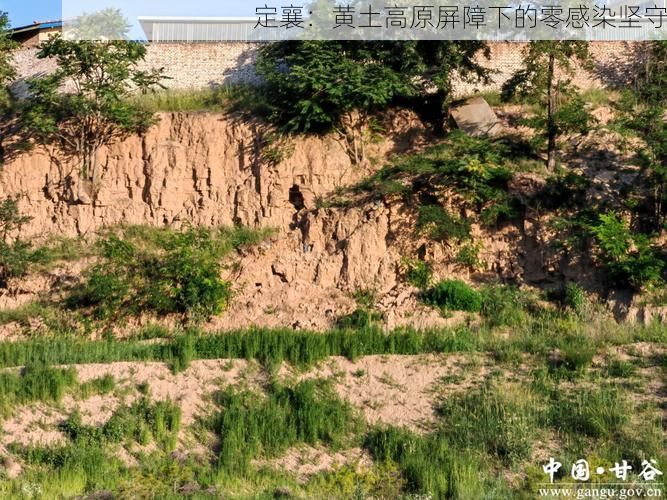 定襄：黄土高原屏障下的零感染坚守