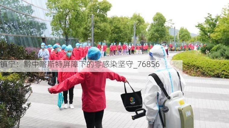 镇宁:黔中喀斯特屏障下的零感染坚守_76856