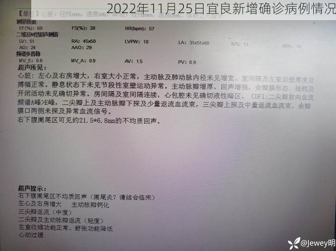 2022年11月25日宜良新增确诊病例情况