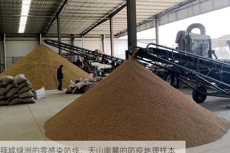 拜城绿洲的零感染防线：天山南麓的防疫地理样本