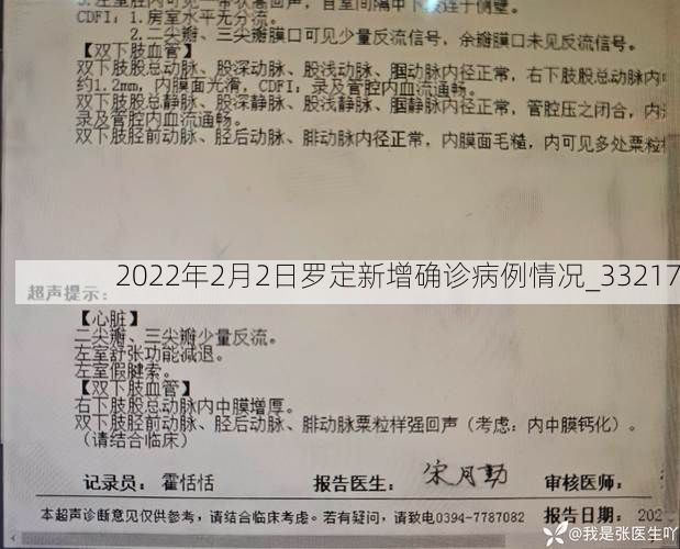 2022年2月2日罗定新增确诊病例情况_33217