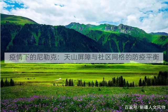 疫情下的尼勒克：天山屏障与社区网格的防疫平衡