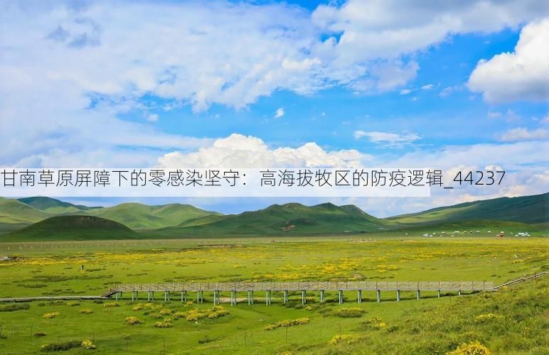 甘南草原屏障下的零感染坚守：高海拔牧区的防疫逻辑_44237