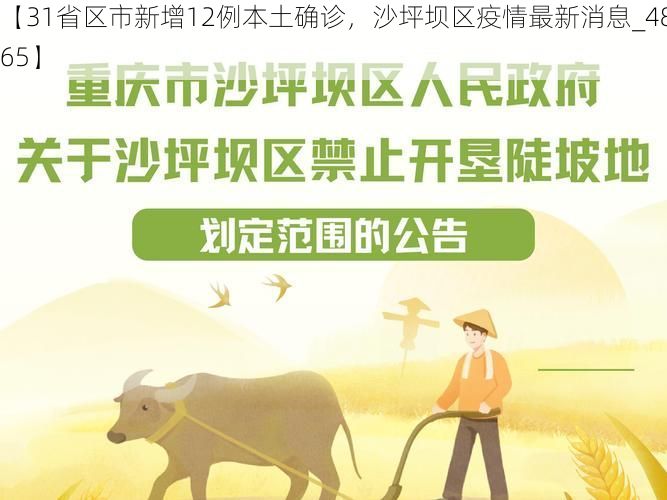 【31省区市新增12例本土确诊,沙坪坝区疫情最新消息_48965】
