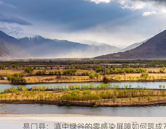 易门县：滇中绿谷的零感染屏障如何筑成？