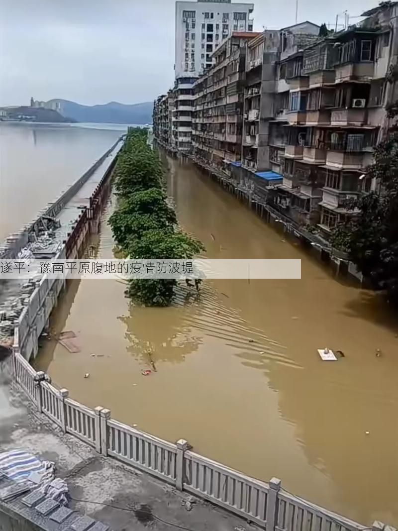 遂平：豫南平原腹地的疫情防波堤