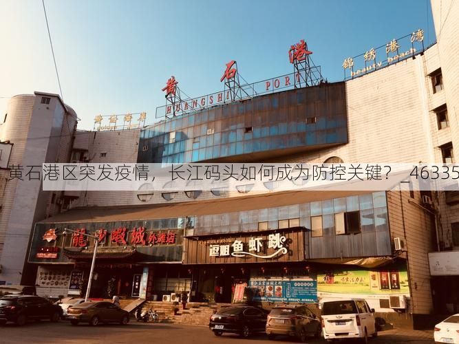 黄石港区突发疫情,长江码头如何成为防控关键?_46335