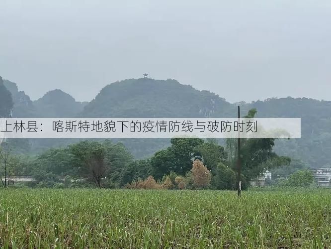 上林县:喀斯特地貌下的疫情防线与破防时刻