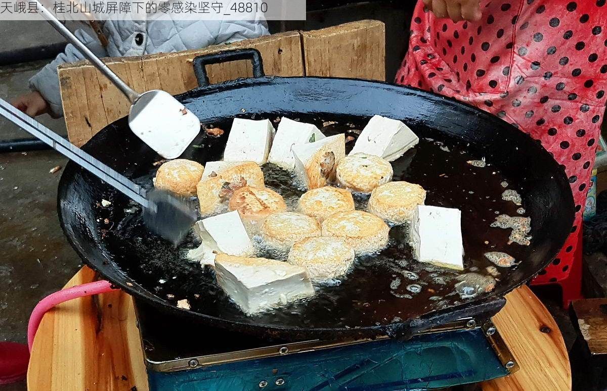 天峨县：桂北山城屏障下的零感染坚守_48810