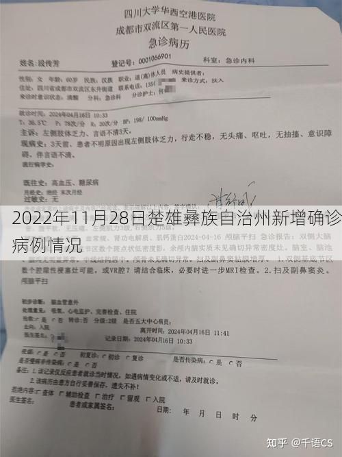 2022年11月28日楚雄彝族自治州新增确诊病例情况