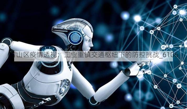 青山区疫情透视：工业重镇交通枢纽下的防控挑战_6106