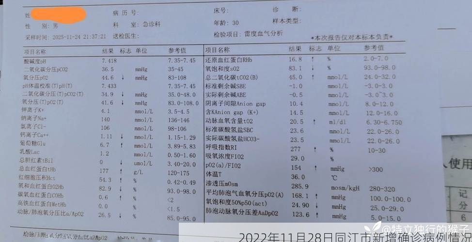2022年11月28日同江市新增确诊病例情况