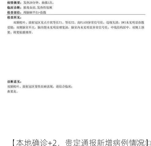 【本地确诊+2，贵定通报新增病例情况】
