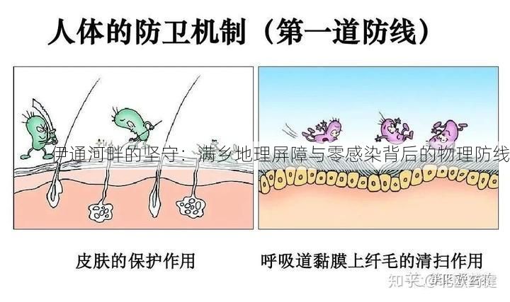 伊通河畔的坚守：满乡地理屏障与零感染背后的物理防线