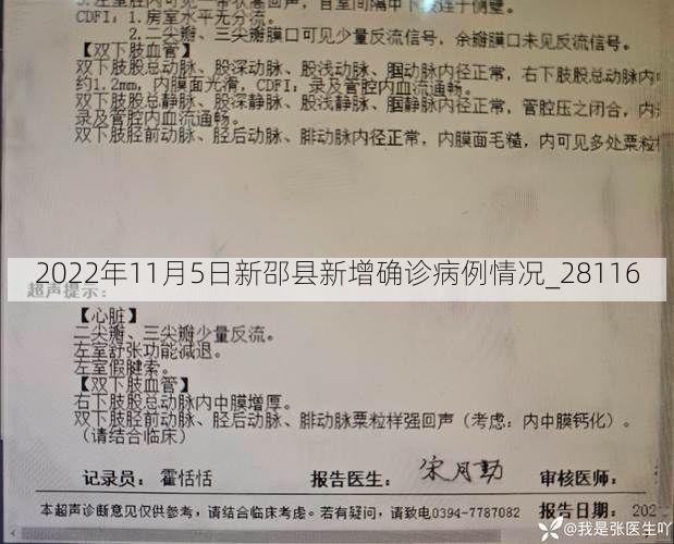 2022年11月5日新邵县新增确诊病例情况_28116