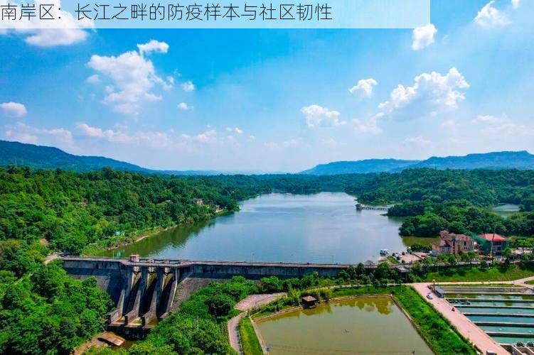 南岸区：长江之畔的防疫样本与社区韧性