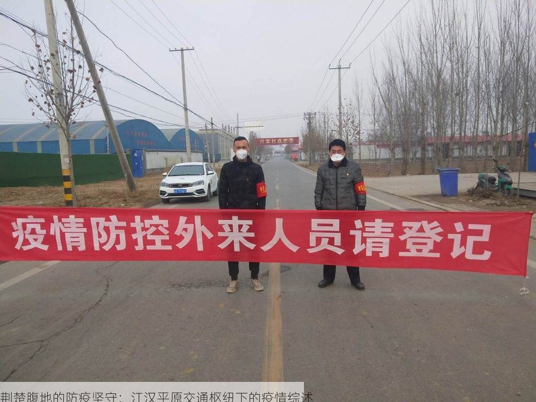 荆楚腹地的防疫坚守：江汉平原交通枢纽下的疫情综述
