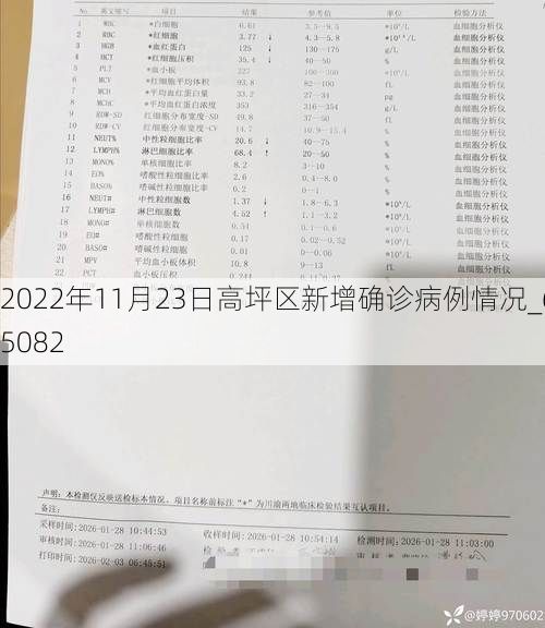 2022年11月23日高坪区新增确诊病例情况_65082