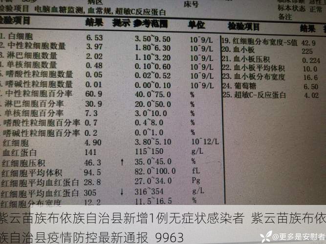 紫云苗族布依族自治县新增1例无症状感染者  紫云苗族布依族自治县疫情防控最新通报_9963