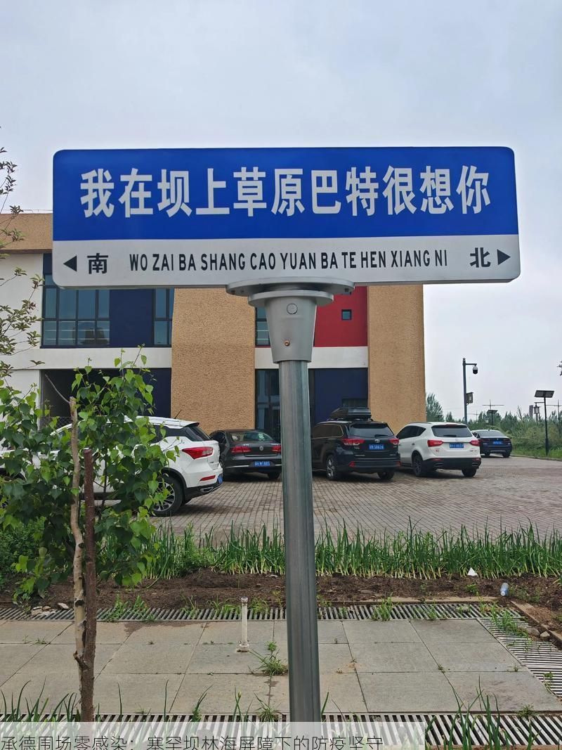 承德围场零感染：塞罕坝林海屏障下的防疫坚守