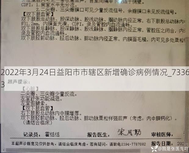 2022年3月24日益阳市市辖区新增确诊病例情况_73363