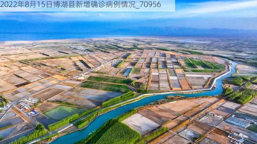 2022年8月15日博湖县新增确诊病例情况_70956