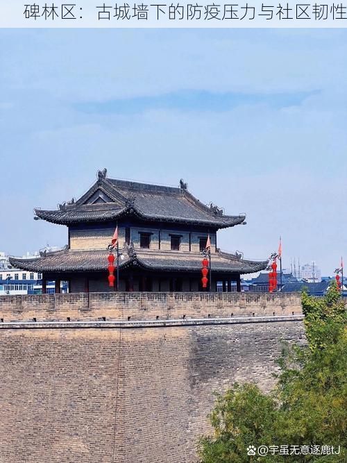碑林区：古城墙下的防疫压力与社区韧性