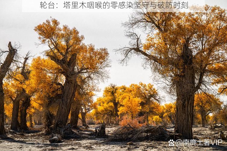 轮台:塔里木咽喉的零感染坚守与破防时刻