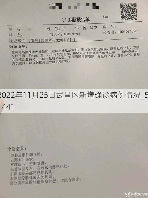 2022年11月25日武昌区新增确诊病例情况_51441