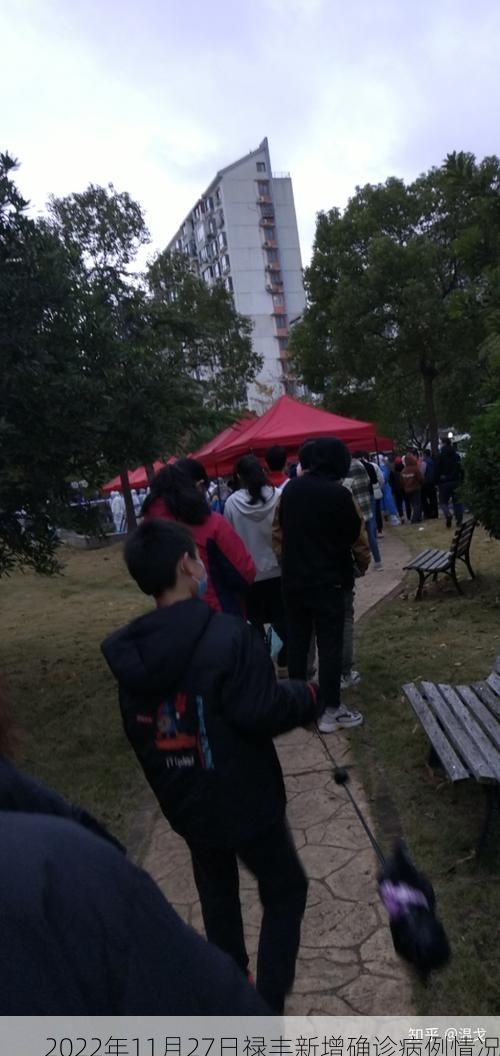 2022年11月27日禄丰新增确诊病例情况