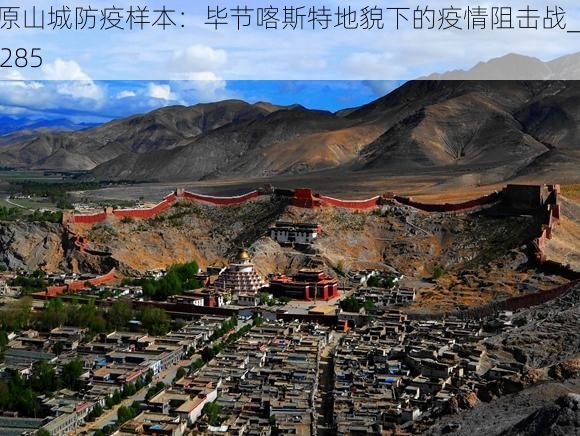 高原山城防疫样本:毕节喀斯特地貌下的疫情阻击战_13285