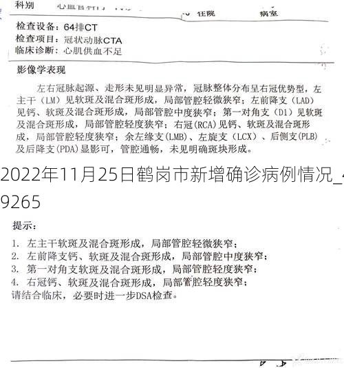 2022年11月25日鹤岗市新增确诊病例情况_49265