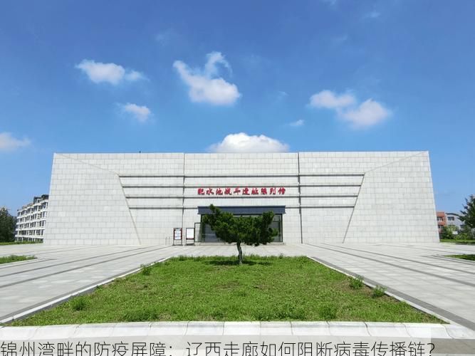 锦州湾畔的防疫屏障：辽西走廊如何阻断病毒传播链？