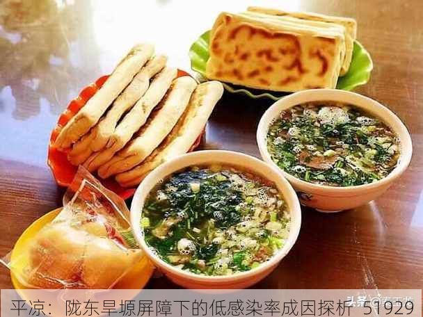 平凉：陇东旱塬屏障下的低感染率成因探析_51929
