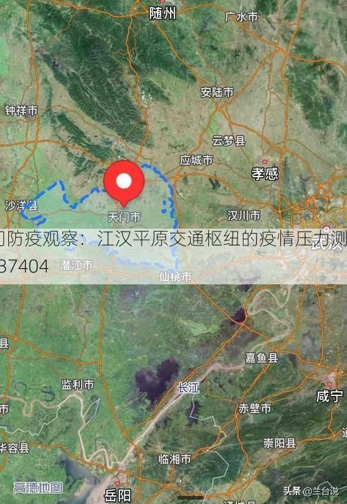 天门防疫观察:江汉平原交通枢纽的疫情压力测试_37404