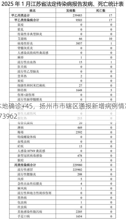 本地确诊+45,扬州市市辖区通报新增病例情况_73962