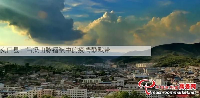 交口县：吕梁山脉褶皱中的疫情静默带