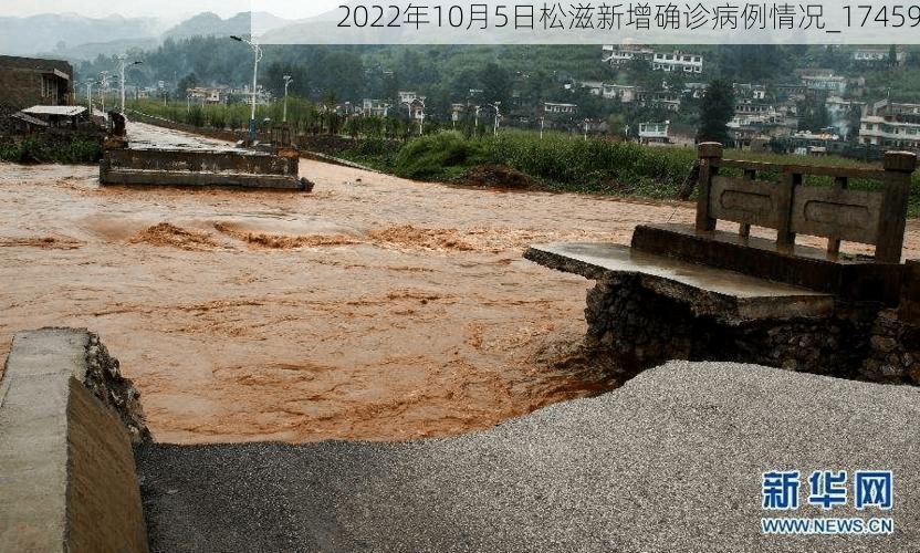 2022年10月5日松滋新增确诊病例情况_17459