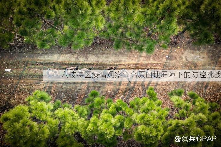 六枝特区疫情观察：高原山地屏障下的防控挑战