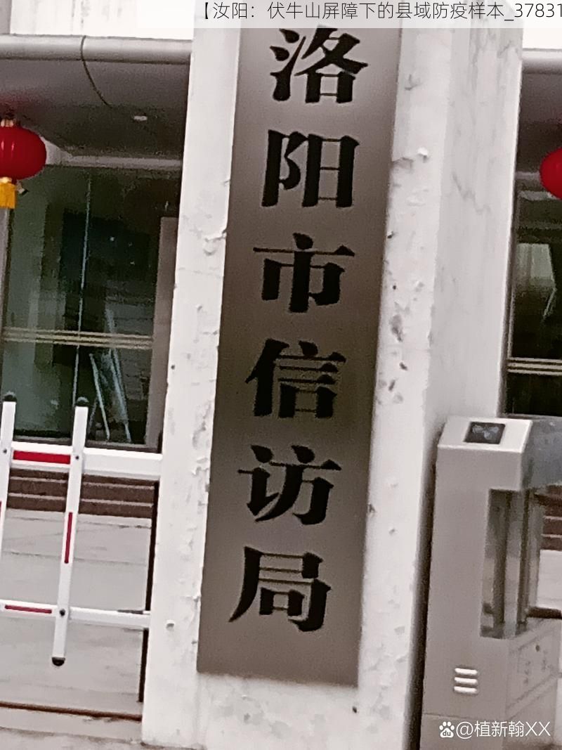 【汝阳:伏牛山屏障下的县域防疫样本_37831】