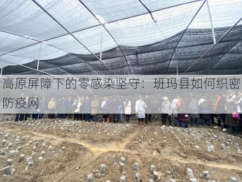 高原屏障下的零感染坚守:班玛县如何织密防疫网