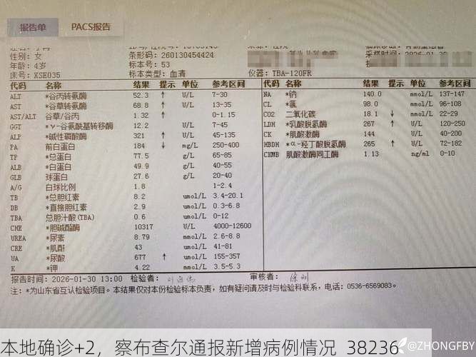 本地确诊+2,察布查尔通报新增病例情况_38236