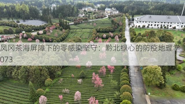 凤冈茶海屏障下的零感染坚守：黔北绿心的防疫地理学_27073