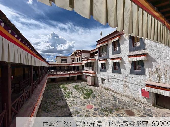 西藏江孜:高原屏障下的零感染坚守_69909