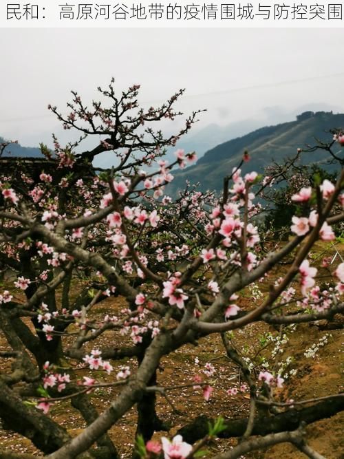 民和：高原河谷地带的疫情围城与防控突围