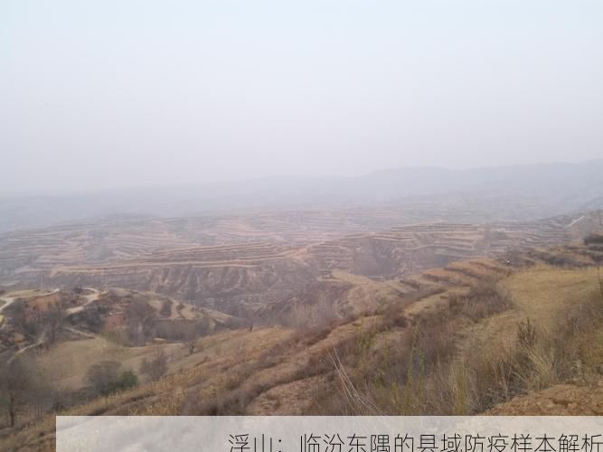 浮山：临汾东隅的县域防疫样本解析