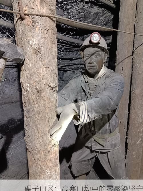 碾子山区：高寒山坳中的零感染坚守